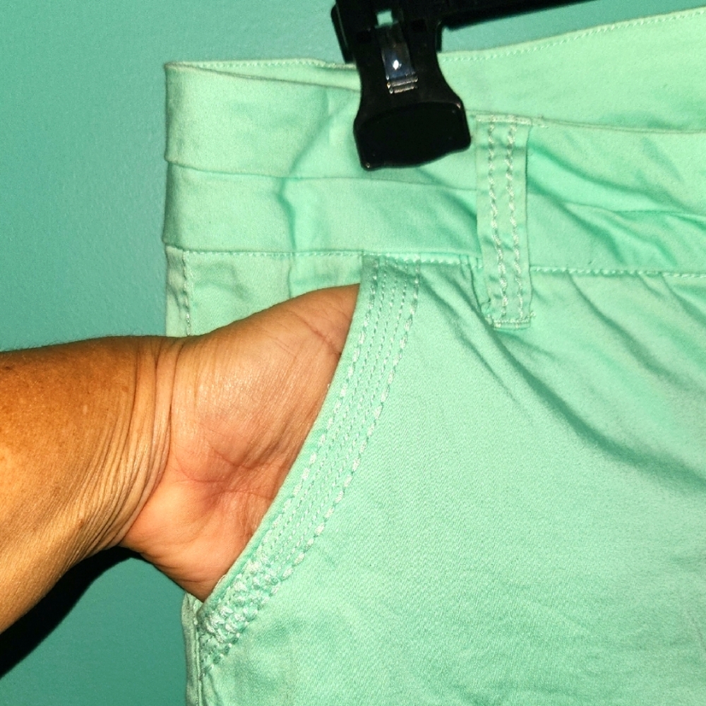 EUC BKE Seafoam Green Peyton Women's Straight Leg Ankle Chinos Sz 29 - Picture 4 of 9